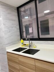 The Poiz Residences (D13), Apartment #325338141